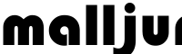 malljun23 shop